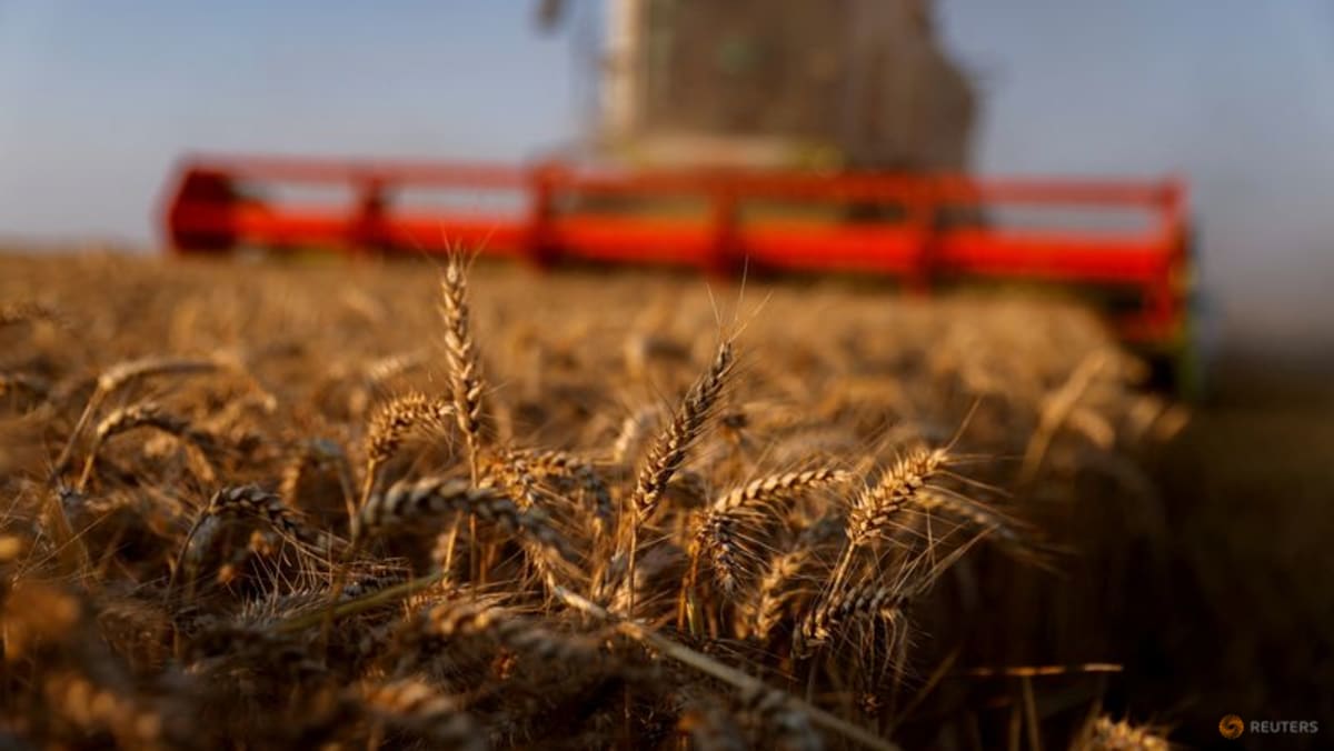 Los precios de los alimentos bajan levemente en abril después de un aumento récord, dice la agencia de la ONU