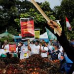Ministerio de Indonesia realizará sesión informativa sobre el levantamiento de la prohibición de exportación de aceite de palma
