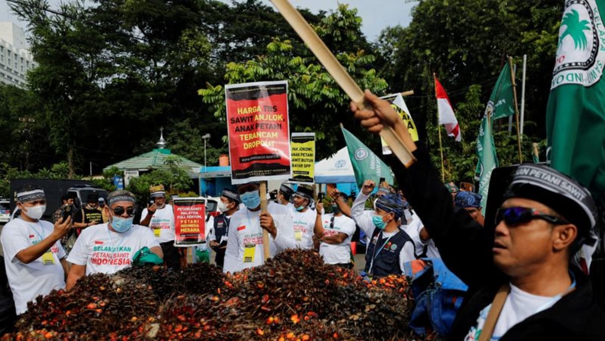 Ministerio de Indonesia realizará sesión informativa sobre el levantamiento de la prohibición de exportación de aceite de palma