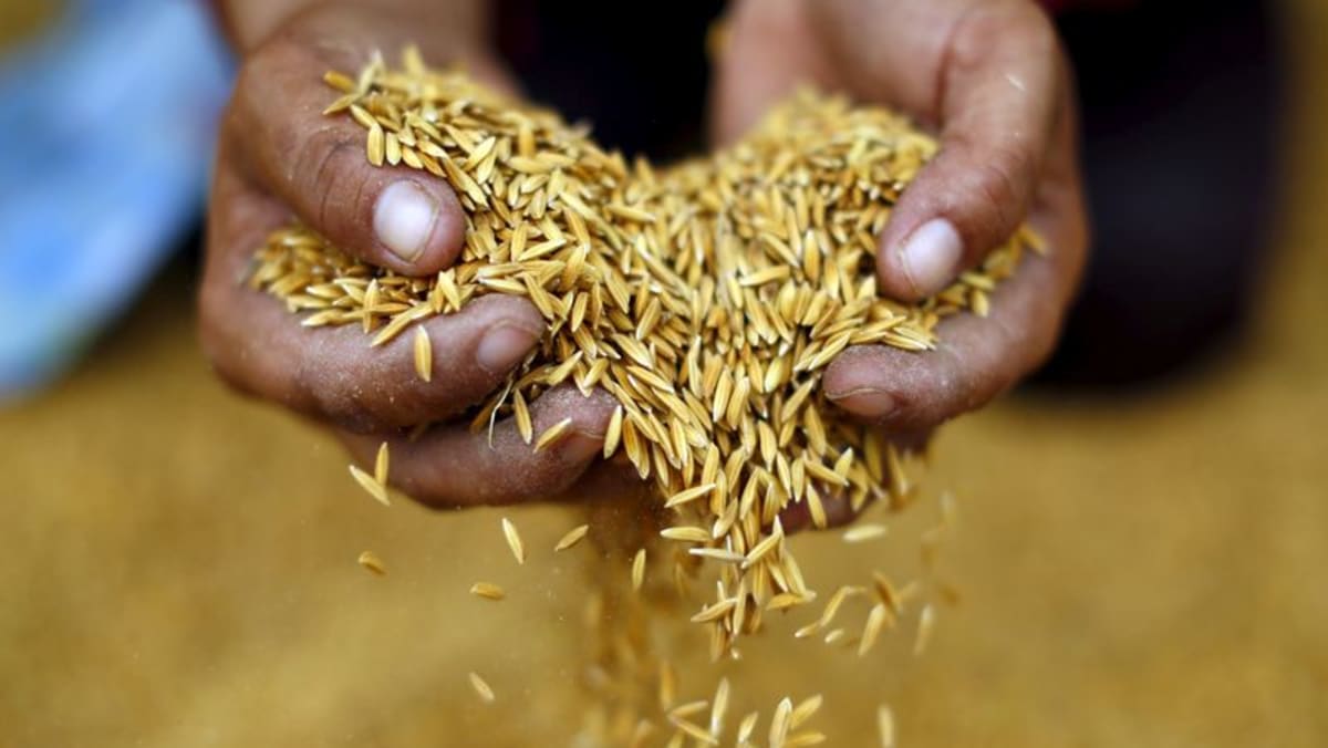 Tailandia y Vietnam apuntan a aumentar el precio del arroz para aumentar el poder de negociación