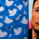 ¿Los robots de spam realmente comprenden menos del 5% de los usuarios de Twitter?  Elon Musk quiere saber