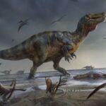 Científicos desentierran restos de uno de los dinosaurios depredadores más grandes de Europa |  CNN