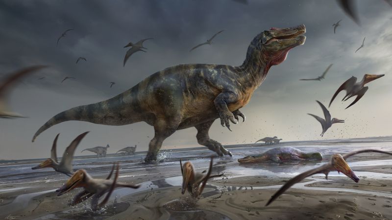 Científicos desentierran restos de uno de los dinosaurios depredadores más grandes de Europa |  CNN