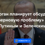 Erdogan planea discutir el "problema de los granos" con Putin y Zelensky