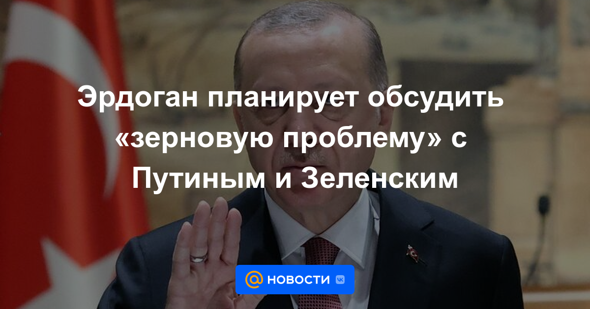 Erdogan planea discutir el "problema de los granos" con Putin y Zelensky