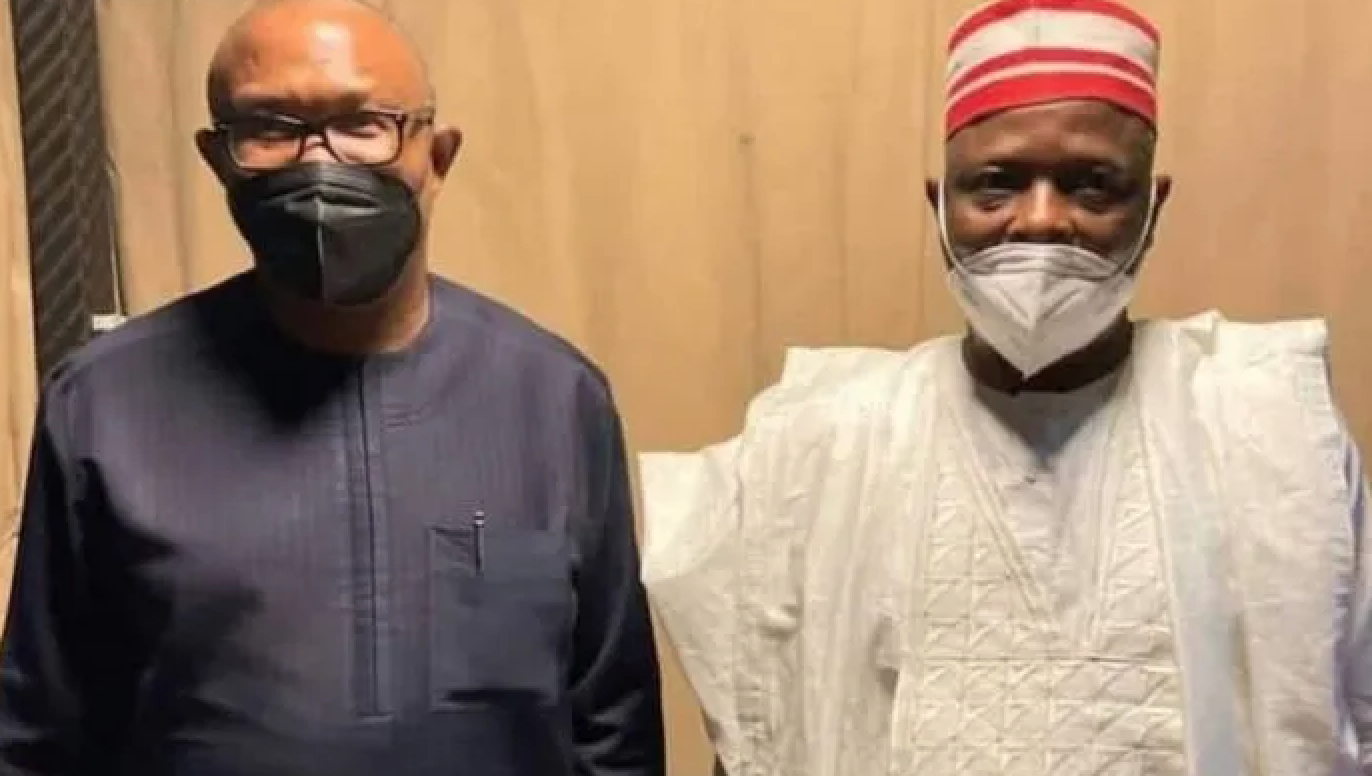 Fusión Partido Laborista-NNPP: Todavía tenemos que acordar si Peter Obi o Kwankwaso serán presentados como candidatos presidenciales: Doyin Okupe