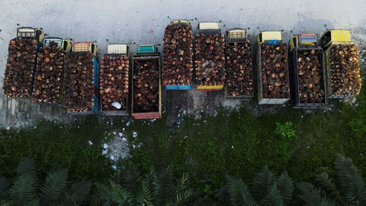 Indonesia ha emitido alrededor de 302.000 T de permisos de exportación de aceite de palma -oficial