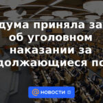 La Duma del Estado adoptó una ley sobre el castigo penal por palizas continuas