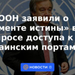 La ONU anunció el "momento de la verdad" en el tema del acceso a los puertos ucranianos