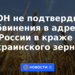 La ONU no confirmó las acusaciones contra Rusia de robar grano ucraniano