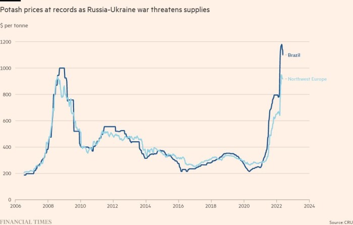 La guerra de Ucrania provoca una carrera por la potasa a medida que aumentan los temores alimentarios mundiales