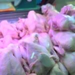 Los comerciantes e inquilinos de la industria deben obtener ayuda si la interrupción del suministro de pollo es 'prolongada y extensa': Grace Fu