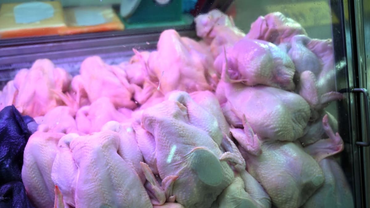 Los comerciantes e inquilinos de la industria deben obtener ayuda si la interrupción del suministro de pollo es 'prolongada y extensa': Grace Fu
