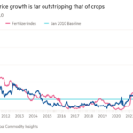 Gráfico que muestra que el crecimiento del precio de los fertilizantes supera con creces al de los cultivos