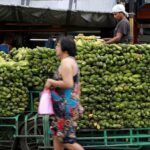 Los productores de bananas de Filipinas piden a los consumidores japoneses que soporten las subidas de precios