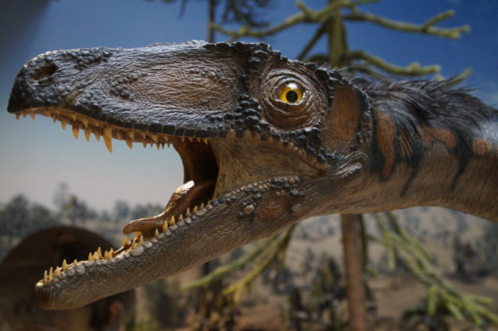 Dinosaurio - Foto por Pixabay
