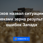 Peskov calificó la situación con el suministro de cereales como resultado de los errores de Occidente
