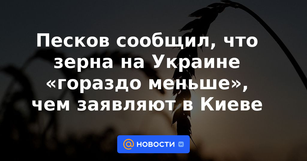 Peskov dijo que el grano en Ucrania es "mucho menos" de lo que dicen en Kyiv