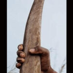 Sars intercepta intento de contrabando de cuerno de rinoceronte fuera del aeropuerto OR Tambo