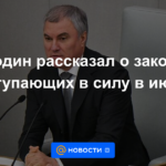 Volodin habló sobre las leyes que entran en vigor en julio