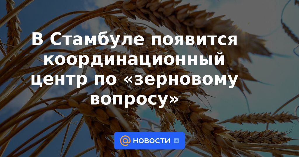 Aparecerá en Estambul un centro de coordinación para el “problema de los cereales”