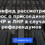 El Consejo de la Federación considerará el tema de la unión del DNR y LNR en caso de referendos