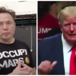 Elon Musk se opone a Trump en 2024: 'Demasiado drama'