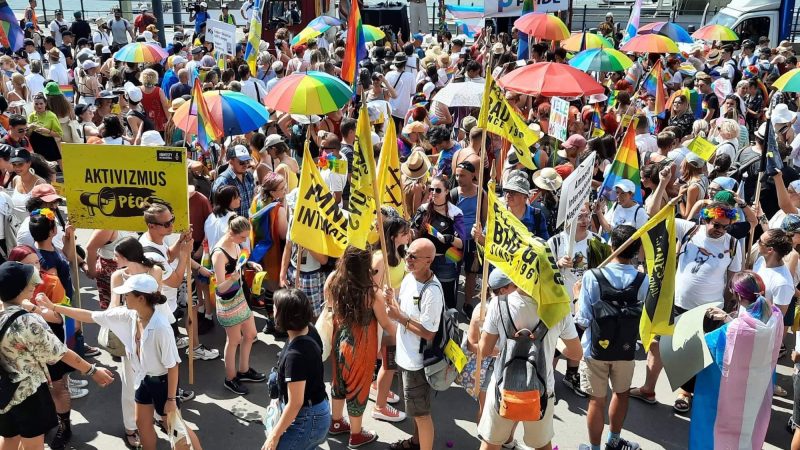 Enarbolando la bandera: Miles de personas marchan en desafiante orgullo húngaro