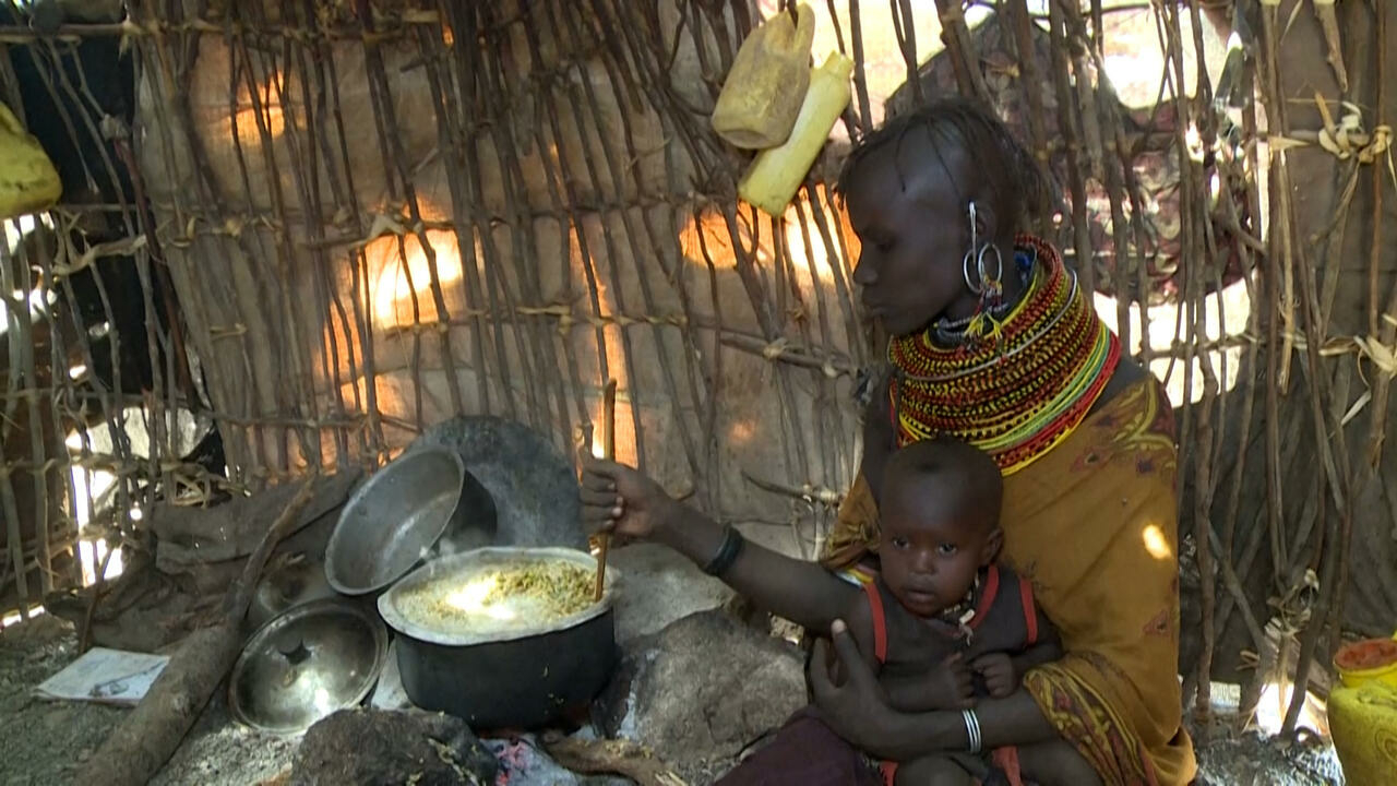 'Esperando morir': los kenianos que sobreviven con bayas en el norte afectado por la sequía