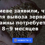 Kyiv dice que tardará entre 8 y 9 meses en exportar grano ucraniano