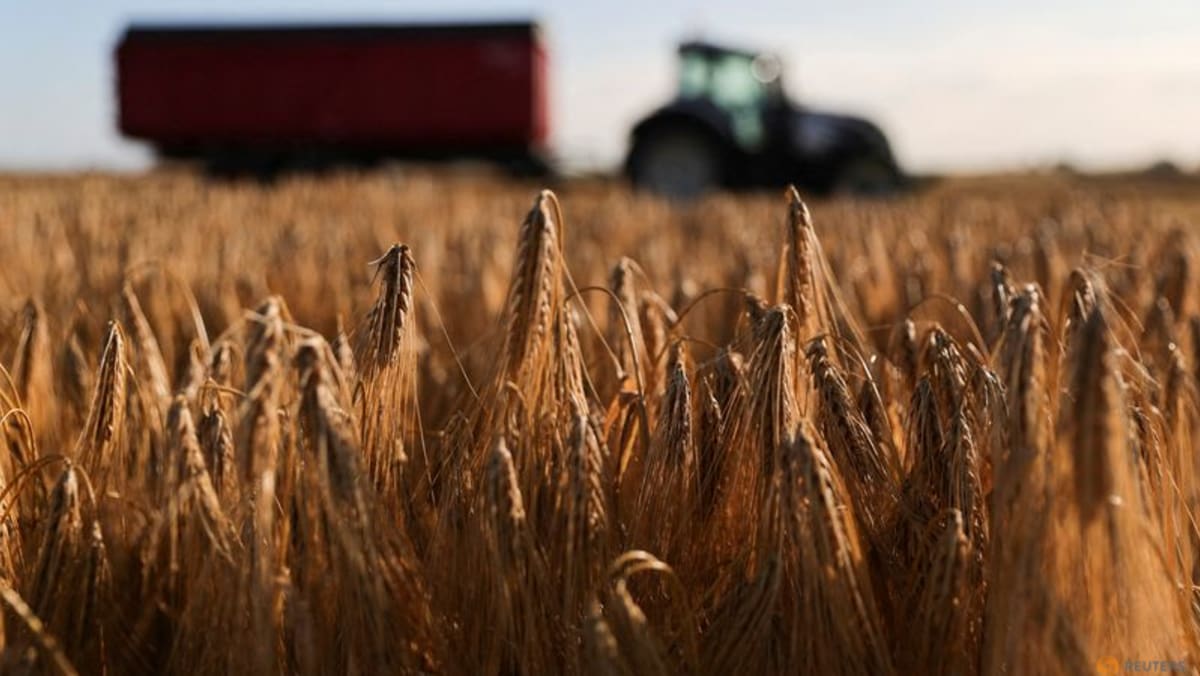 La interrupción de la guerra en Ucrania hace que los precios de los insumos agrícolas suban casi un 10% en el primer trimestre: Eurostat
