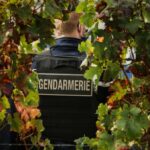 La policía francesa detiene a una banda que vende vino de Burdeos falso