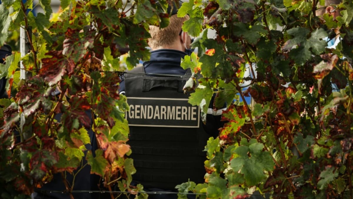 La policía francesa detiene a una banda que vende vino de Burdeos falso