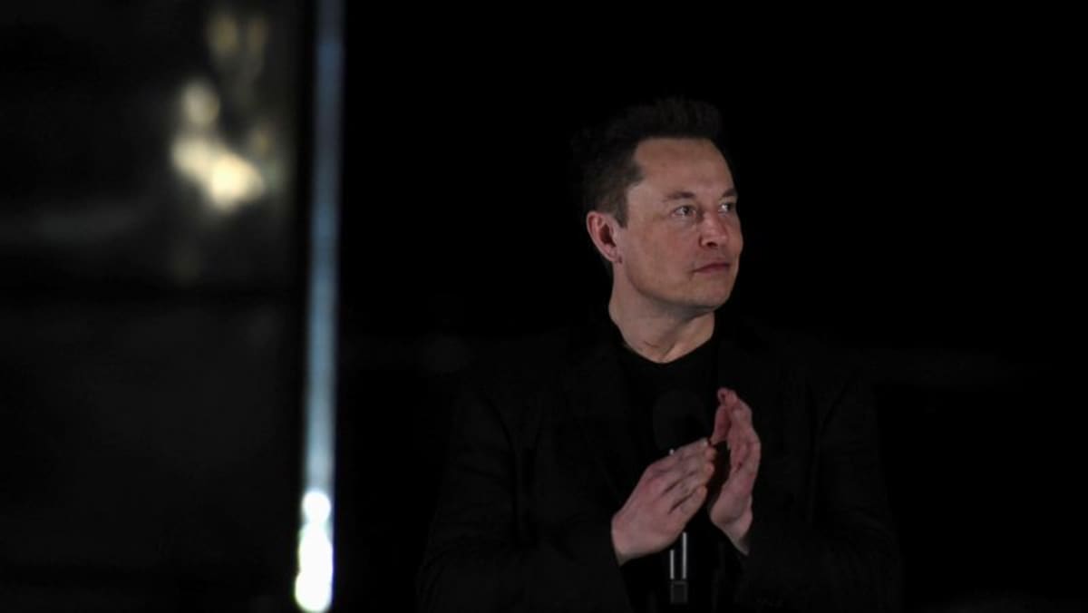 Las ONG piden a Musk que no invierta en la industria del níquel de Indonesia por preocupaciones ambientales