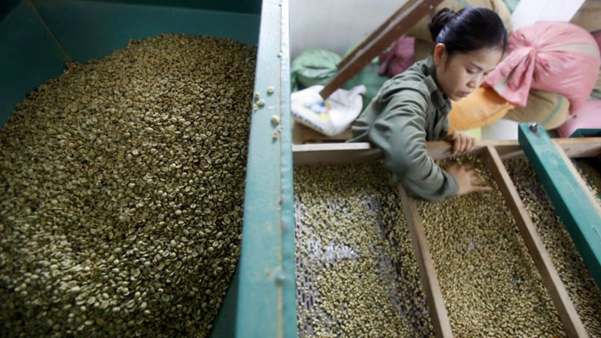 Las exportaciones de café de Vietnam en junio cayeron un 3,5% m/m a 137.403 toneladas: aduanas