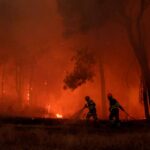 Los incendios forestales en la UE casi han cuadriplicado el promedio de 15 años