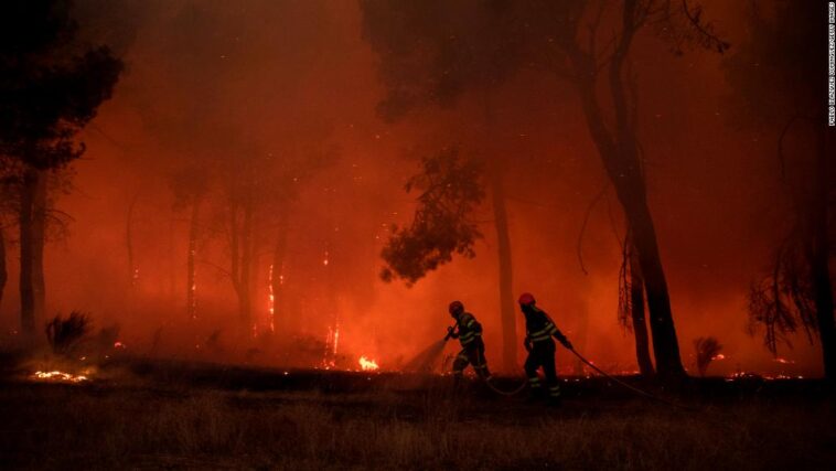 Los incendios forestales en la UE casi han cuadriplicado el promedio de 15 años