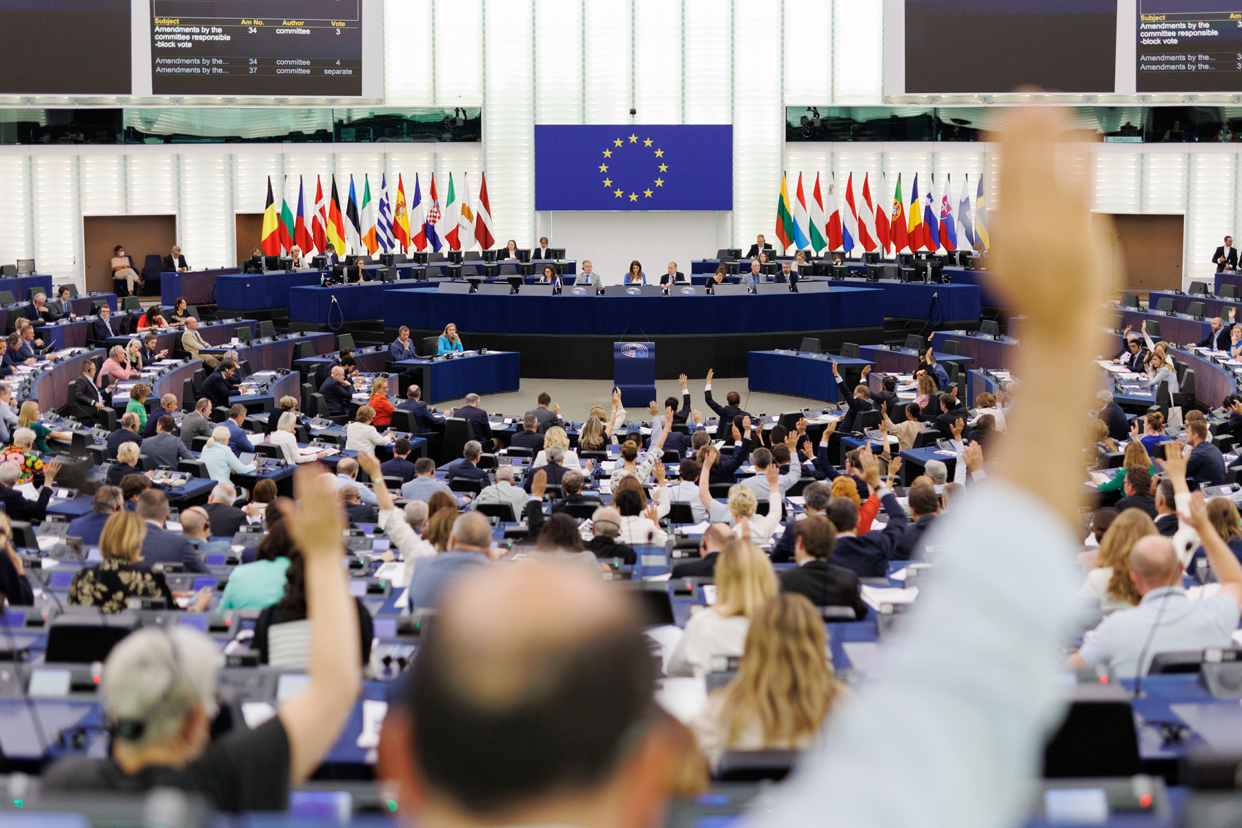 Resumen: lo que trató el Parlamento en la primera mitad de 2022 |  Noticias |  Parlamento Europeo