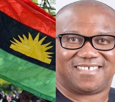 Si Peter Obi conoce nuestras metas y objetivos, no estaría compitiendo por la presidencia para desperdiciar su riqueza y vasto conocimiento – IPOB