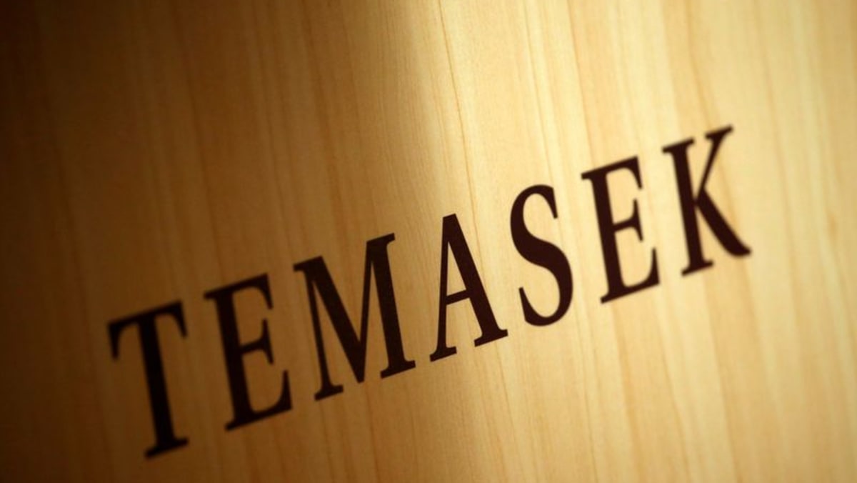 Temasek informa un valor récord de la cartera, ve una desaceleración en las inversiones