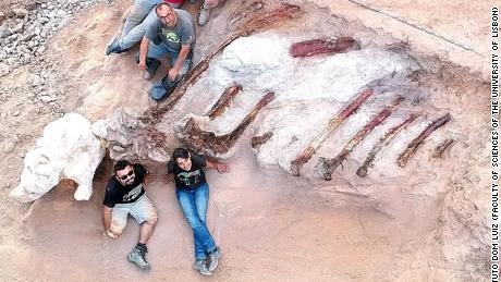 Los investigadores creen que los restos podrían tener alrededor de 39 pies de alto y 82 pies de largo.
