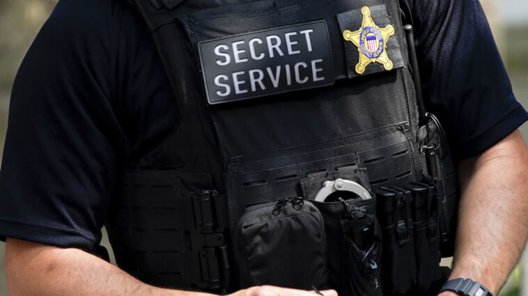 El Servicio Secreto devuelve préstamos pandémicos fraudulentos a la SBA federal