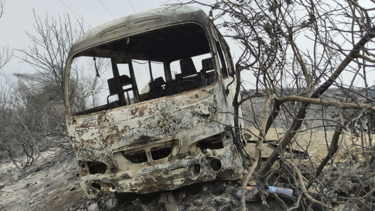 "Escenas de devastación" mientras los incendios forestales mortales arrasan Argelia