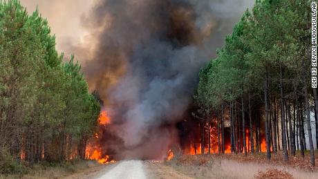Esta foto proporcionada por el cuerpo de bomberos de la región de Gironde SDIS 33 (Servicio departamental de bomberos y rescate 33) muestra las llamas que consumen árboles en Saint Magne, al sur de Burdeos, suroeste de Francia el miércoles.