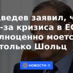 Medvedev dijo que debido a la crisis en la UE, solo Scholz se lava completamente