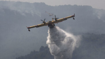 Mortíferos incendios forestales asolan el norte de Argelia