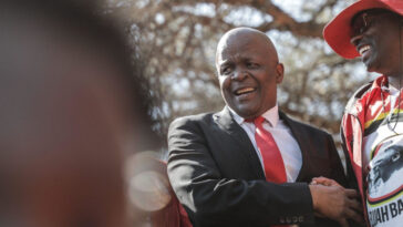 'No hay ningún plan en el gobierno para vender Eskom', dice Gungubele a Cosatu & Saftu