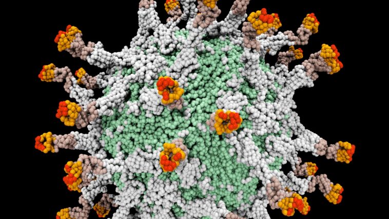 Poliomielitis detectada en aguas residuales de la ciudad de Nueva York, lo que sugiere circulación local del virus