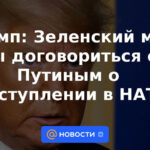 Trump: Zelensky podría estar de acuerdo con Putin para no unirse a la OTAN