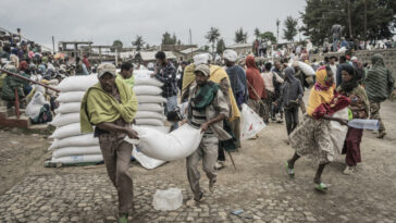 El Consejo de Derechos Humanos de la ONU advierte sobre más "crímenes atroces" en Etiopía